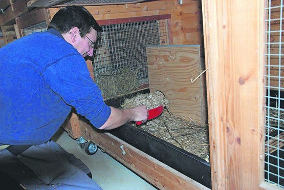 Insgesamt 32 Mitabeitende sorgen für das Wohl der Tiere. Die Kosten im Griff zu behalten, ist nur eine Herausforderum im Tierheim beider Basel.