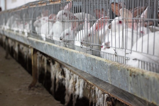 Pour Olivier Feller,  l’agriculture ne peut pas être  soumise aux seules lois du marché.PHOTO: DR