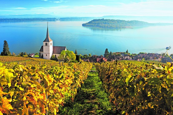 Rigide, flou et irréaliste: le nouveau projet inacceptable (photo: vignoble  et lac de Bienne).PHOTO: Andreas gerth, SWISSIMAGE