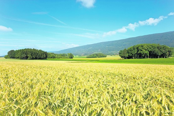 Comment le «concept» flou du Conseil fédéral pourrait-il garantir la protection des terres cultivées? Mystère et boule de gomme...