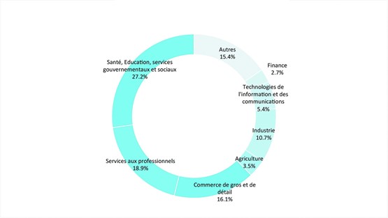 En Suisse, la plupart des entreprises se créent dans les secteurs de la santé, de l’éducation, des services gouvernementaux et sociaux (27,2%). GEM