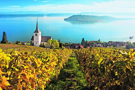 La Suisse dispose de l’économie la plus verte au monde: coup d’œil sur l’île de Saint-Pierre, si chère à Rousseau!