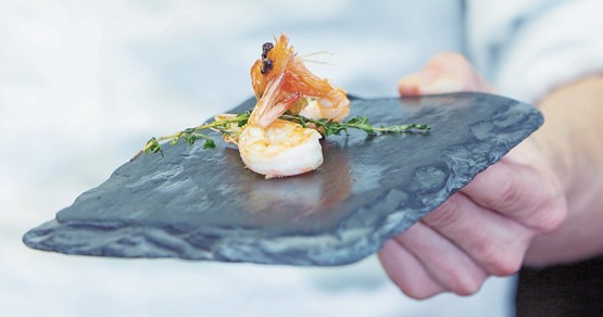 Mit viel Unternehmergeist, Durchhaltewillen und wasserdichtem Businessplan bald am Ziel: Geschäftsführer Rafael Waber und seine Partner bringen ab Frühling Shrimps frisch aus dem Fricktaler Salzwasser auf den Schweizer Markt.