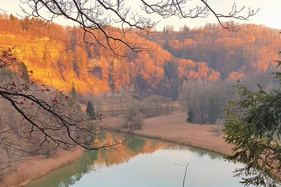 Lac de Pérolles (FR). Retrouver une vision d’ensemble. Photo: Ogi