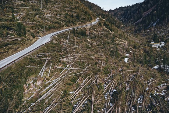 La tempête «Vaia» a laissé des cicatrices dans le nord de l’Italie. De tout ce bois, la cellulose peut être facilement extraite – également en Suisse. C’est le moment d’innover!Photo: Keystone