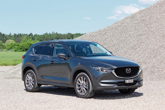 Der Mazda CX-5 lässt sich problemlos für harte Arbeit einspannen.Bild: rho