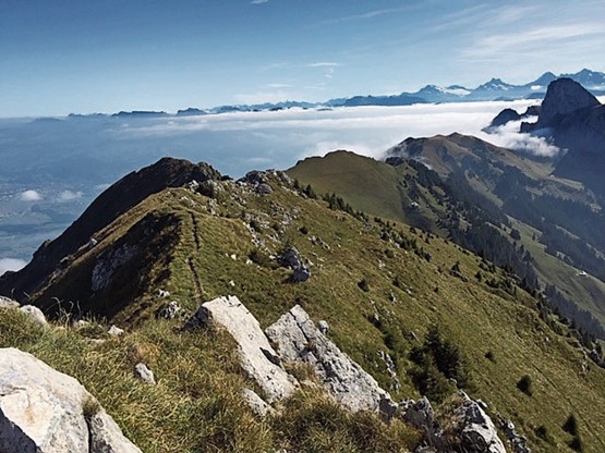 Polyvalenter Gipfel: Es gibt viele verschiedene Aufstiegsmöglichkeiten auf das Stockhorn. Bild: Ruedi Horber