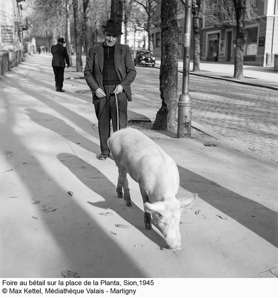 Foire au bétail (1945).Photo: Max Kettel