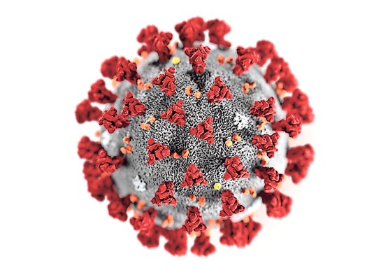Kleines Virus, grosse Wirkung: Das Coronavirus wirbelt weltweit den Alltag – und auch die Geschäftswelt – durcheinander. Bild: Keystone