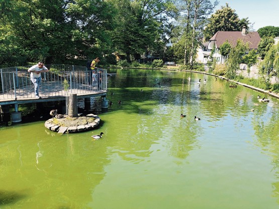 Naturperlen vor der Haustüre: Der Schorenweiher in Langenthal ist eine kleine Oase zum Durchatmen. Bild: CR