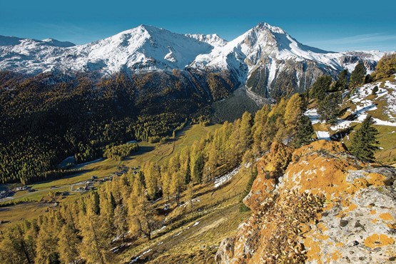 Kleine Weltwunder laden gerade im Herbst zum Entdecken ein: Hier im Schweizerischen Nationalpark in ­Biosfera Val Müstair. Bild: ©Schweiz Tourismus-BAFU