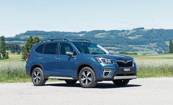 Neue Generation: Der Subaru Forester AWD hat an Ausstrahlung gewonnen und ist jetzt noch besser für harte Arbeit gerüstet.Bild: Christoph Jenny