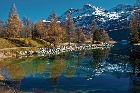 Herbstreflexionen auf dem Silvaplanersee.Bild: 123RF