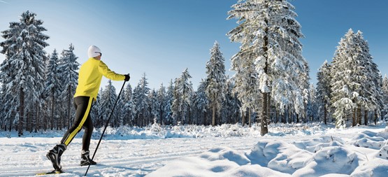 Gleiten, meditieren und geniessen: Gerade in der aktuellen Situation ist Langlauf die ideale Wintersportart, um die weisse Pracht Corona-konform zu geniessen. Bild: 123RF