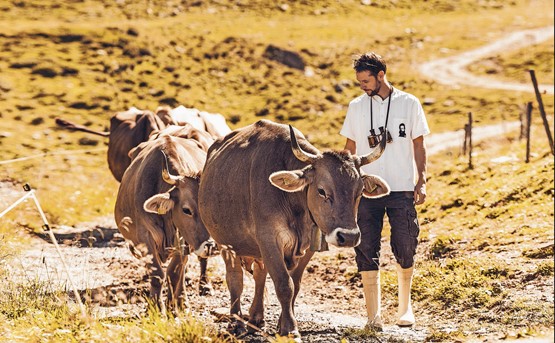 Adrian Hirt verändert mit seinen Bündner Bergprodukten die Lebensmittelindustrie: Die Kühe für AlpenHirt werden komplett zu sortenreinen Produkten verarbeitet. Bild: zVg