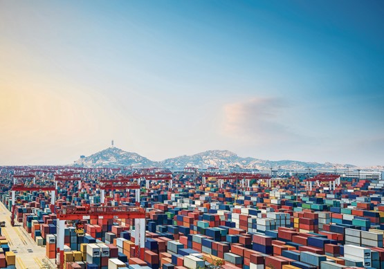 Noch fehlen einige Bausteine für eine erfolgreiche China-Strategie der Schweiz: Containerplatz im Tiefwasserhafen Shanghai Yangshan.Bild: 123 RF