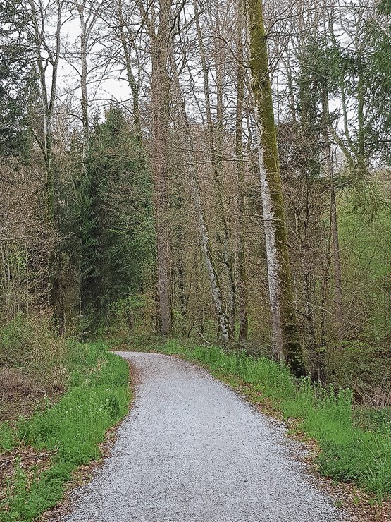 … et le chemin nous reconnecte à nous-même.