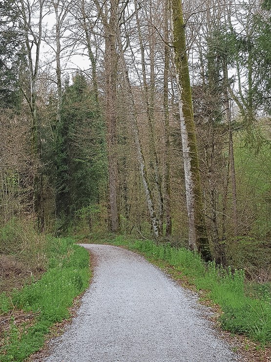 … et le chemin nous reconnecte à nous-même.