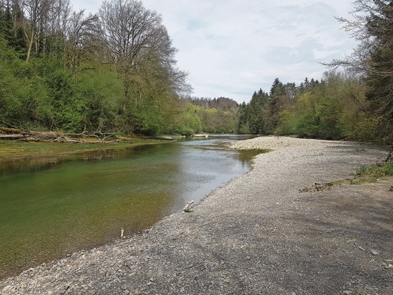 La Sarine en amont de Fribourg. Un paysage ne livre ses ultimes secrets qu’à force d’être rebattu.Photos: François Othenin-Girard