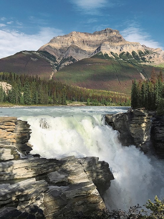 Die Athabasca Falls vor dem Mount Kerkeslin.