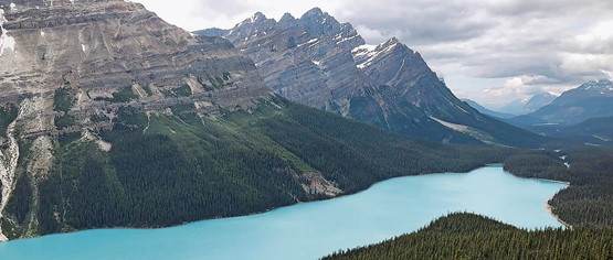 Kanada hat nicht nur landschaftlich, sondern auch wirtschaftlich viel zu bieten. Im Bild: Der Peyto Lake im Banff National Park.Bilder: Adrian Uhlmann