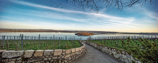 Qui se souvenait que Friedrich Dürrenmatt avait vécu à Schernelz?Photos: Tourismus Biel Seeland | Stefan Weber