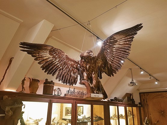 Le musée de la Sagne est resté dans son jus, avec ses animaux de la région, les objets collectionnés avec amour par ses habitants. Et la fameuse chambre neuchâteloise! Photos: FOG