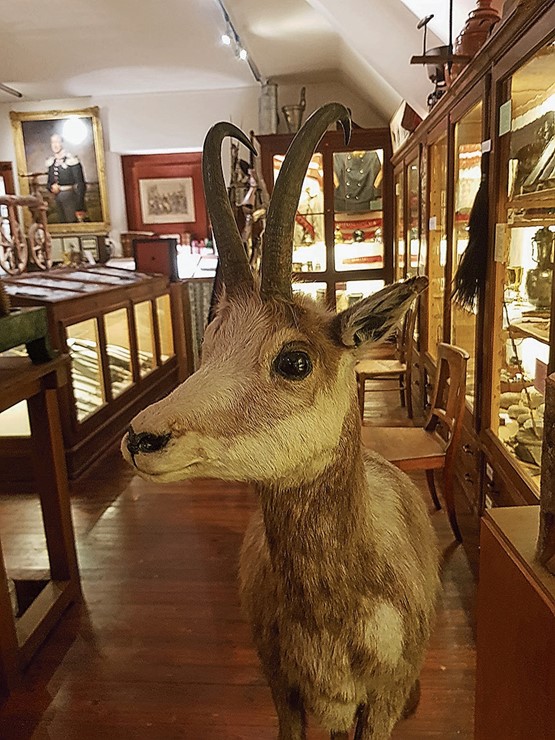 Le musée de la Sagne est resté dans son jus, avec ses animaux de la région, les objets collectionnés avec amour par ses habitants. Et la fameuse chambre neuchâteloise! Photos: FOG