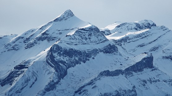 Les Éditions Montsalvens jouent la carte régionale. Une maison d’édition suisse qui réalise tout – de A à Z – en Suisse.Photo: 123RF