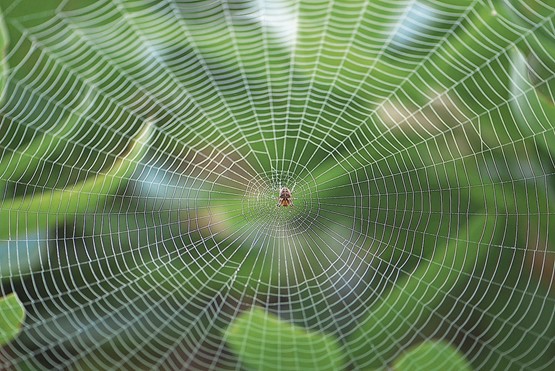 La Suisse 42e au classement de la cybersécuritéPhoto: 123RF