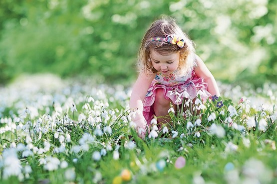 Es gibt viele Frühlingsboten: Sie alle zeigen uns, dass der Frühling da ist. Früher wurden diese nicht nur sehnlichst erwartet, sondern auch gebührend gefeiert. Bild: 123RF