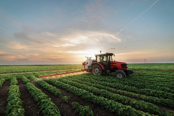 Weniger Pestizide dank resistenterer Sorten: Wer ESG zum allein selig machenden Anlagekriterium erhebt, verhindert damit dringend nötige Fortschritte.Bild: 123RF