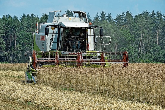 Trotz hügeliger Lage werden im Appenzellerland rund zwölf Hektaren Dinkel angebaut. Bild: zVg