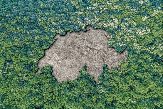 Die Schweiz gehört zu den global nachhaltigsten Wirtschaften. Diese Spitzenposition geht insbesondere auf die diversen Anstrengungen verschiedener Branchen zurück, eigene, praxisnahe und wirtschaftliche Massnahmen zu ergreifen. Bild: 123RF