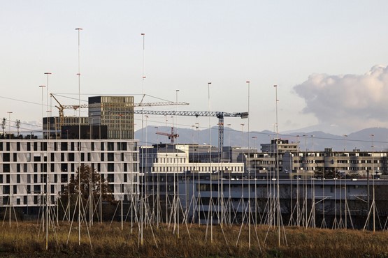 Vorschriften sollen gelockert werden: Bauprofile auf einer Wiese bei Staudenbühl in Zürich Seebach, mit Oerlikon im Hintergrund.Bild: Keystone