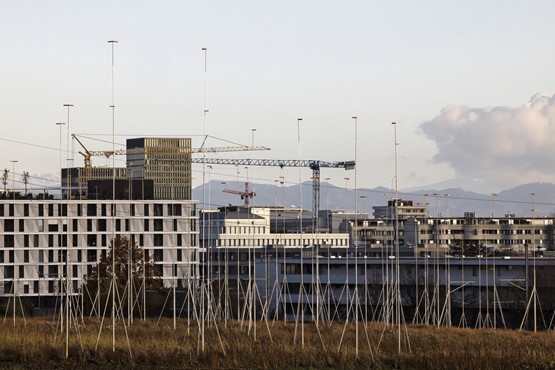 Vorschriften sollen gelockert werden: Bauprofile auf einer Wiese bei Staudenbühl in Zürich Seebach, mit Oerlikon im Hintergrund.Bild: Keystone