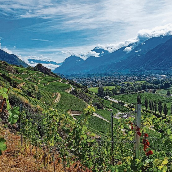 Depuis le tout nouveau pop-up spa de La Vigne en Valais, on déguste le paysage!Photos: dr