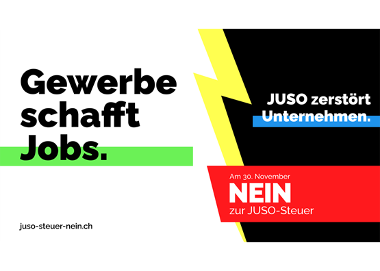 Mit dieser Kampagne zieht der sgv in den Kampf gegen die radikale Juso-Enteignungsinitiative. Illustration: zVg