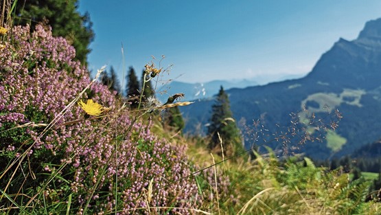 Dans les Grisons et ailleurs (Lucerne), l’environnement apporte un plus en termes de compétitivité. Photo: 123RF