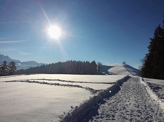 Winterwanderweg auf der Höhe Stritegg mit Blick in Richtung Rämsen/Bühler AR.Bild: Schlittelstrecke Bühler