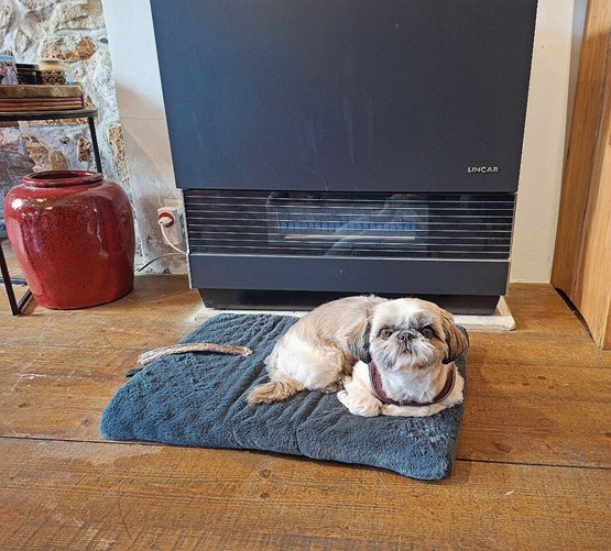 Daxa, une accueillante mascotte.