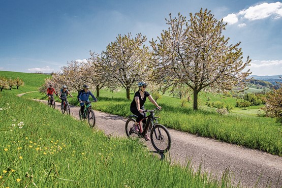 Das Baselbiet ist wie gemacht fürs Velofahren: Auf abwechslungsreichen Routen fährt man über sanfte Jurahügel, vorbei an Obstgärten, Wiesen und charmanten Dörfern.