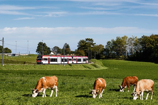 «Zwei Drittel unserer Landwirtschaftsflächen sind Grasland. Dort wachsen weder Sojabohnen noch Avocados, sondern Gras», erklärt sgv-Vorstandsmitglied Damian Müller. «Deshalb brauchen wir Kühe.»Bild: Keystone