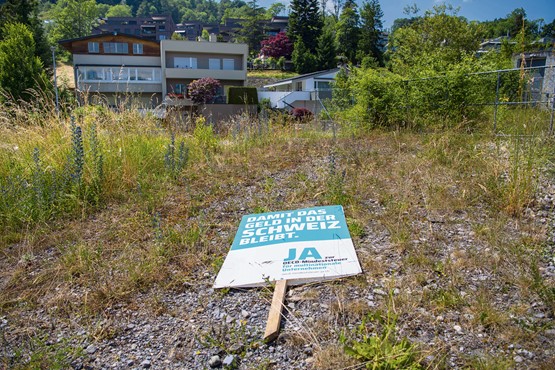 Wohin mit den Früchten der OECD-Abstimmung? Den Kantonen bietet sich eine grosse Chance – zugunsten auch der KMU. Bild: Keystone