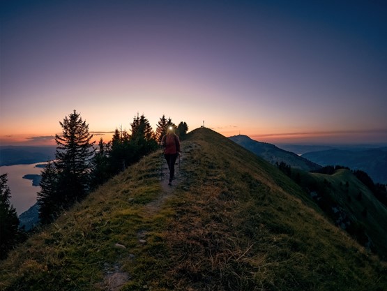 Über 120 geführte Nachtwanderungen führen durch Wälder, entlang von Seen und hinauf zu Aussichtspunkten – entschleunigt, naturnah und unvergesslich. Bild: Schweizer Wanderwege