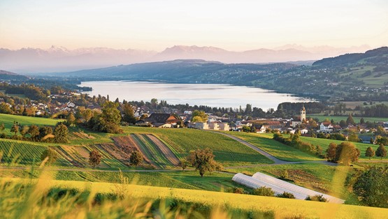 Das Seetal zwischen Emmen bei Luzern und Lenzburg im Kanton Aargau punktet mit vielfältiger Kulinarik, den historischen Schlössern, der Schifffahrt auf dem Hallwilersee und familienfreundlichen Angeboten.  Bild: Nico Hess