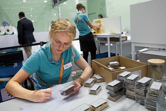 Les entreprises formatrices tirent la sonnette d’alarme: les lacunes en lecture, en écriture et en mathématiques se multiplient. Ceux qui ne maîtrisent pas ces fondamentaux rencontrent inévitablement des difficultés au cours de leur apprentissage. Photo: dr/Archives 