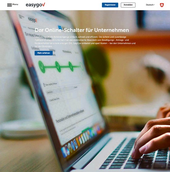 Die Plattform EasyGov wird derzeit umfassend modernisiert: Administrative Verfahren sollen so weiter vereinfacht und effizienter gemacht werden. Screenshot: sgz