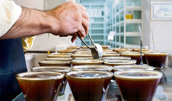 Kostbare und rare Spezialitätenkaffees: Sirocco arbeitet mit Provenienzen aus klassischen Anbaugebieten wie Mittel- und Südamerika, Afrika und Asien.