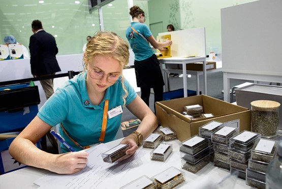 Lehrbetriebe schlagen Alarm: Defizite bei Lesen, Schreiben und Mathematik nehmen zu – wer die Grundlagen nicht beherrscht, hat es in der Lehre schwer. Bild: zVg/Archi